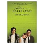 The Perks of Being a Wallflower by Stephen Chbosky